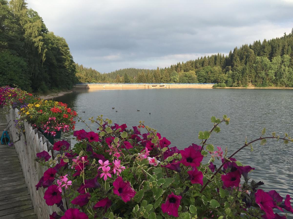 Holidayhaus Luetsche Frankenhain Dış mekan fotoğraf